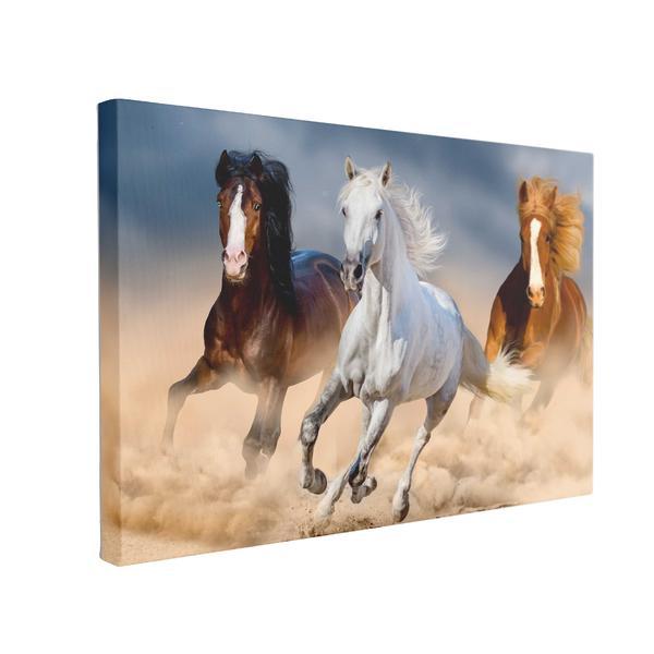 Tablou Canvas Three Horse in Desert, 50 x 70 cm, 100% Bumbac