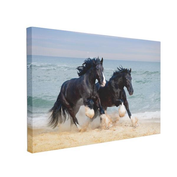 Tablou Canvas Cai In Galop, 50 x 70 cm, 100% Poliester