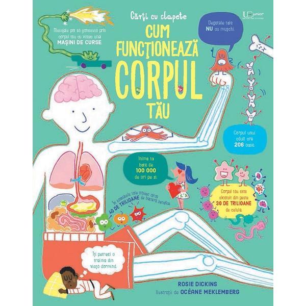 Cum functioneaza corpul tau. Usborne - Rosie Dickins, Oceane Meklemberg, editura Univers Enciclopedic