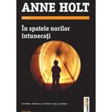 In spatele norilor intunecati - Anne Holt, editura Trei