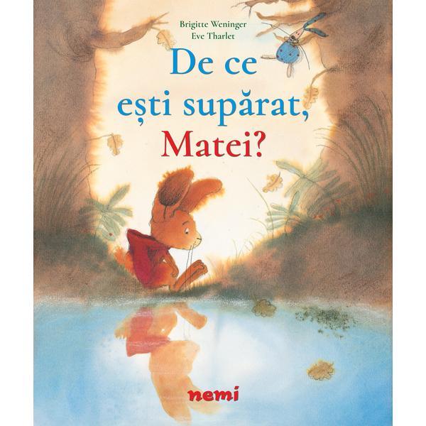 De ce ești supărat Matei? autor Brigitte Weninger Eve Tharlet, editura Nemi