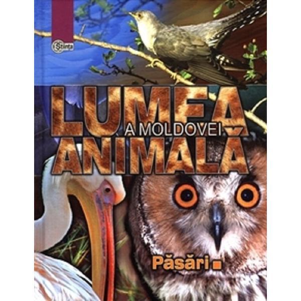 Lumea animala a Moldovei. Vol.3: Pasari - Andrei Munteanu, Tudor Cozari, Nicolae Zubcov, editura Stiinta