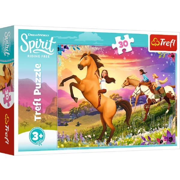 Puzzle 30. Spiritul libertatii