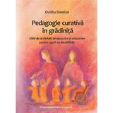 Pedagogie curativa in gradinita - Ovidiu Damian, editura Presa Universitara Clujeana