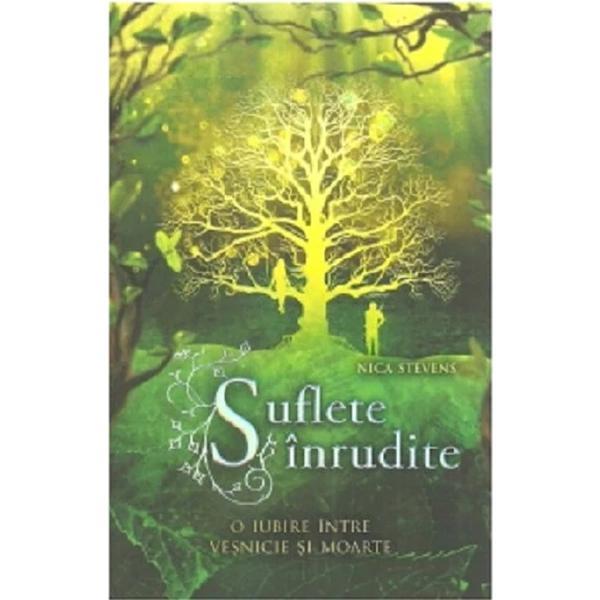 Suflete inrudite. O iubire intre vesnicie si moarte - Nica Stevens, editura Unicart