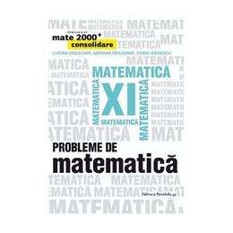 Probleme de matematica - Clasa 11 - Mate 2000+ Consolidare - Lucian Dragomir, Adriana Dragomir, editura Paralela 45