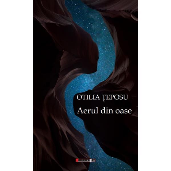 Aerul din oase - Otilia Teposu, editura Eikon