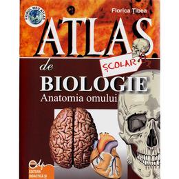 Atlas de biologie scolar - Anatomia Omului - Florica Tibea, editura Didactica Si Pedagogica