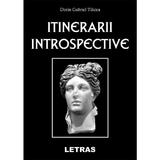 Itinerarii introspective - Dorin Gabriel Tilicea, editura Letras