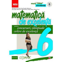 Matematica de excelenta - Clasa 6 - Pentru concursuri, olimpiade si centre de excelenta - Maranda Lint, editura Paralela 45