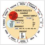 Verbusoleta romana - Camelia Stan, Dragos Stan, editura Verba