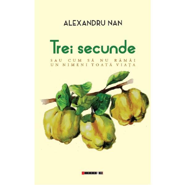 Trei secunde sau cum sa nu ramai un nimeni toata viata - Alexandru Nan, editura Eikon