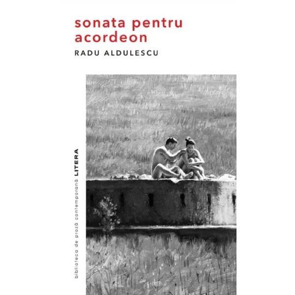 Sonata pentru acordeon - Radu Aldulescu, editura Litera