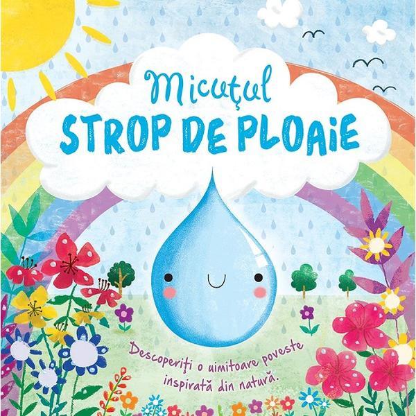 Micutul strop de ploaie