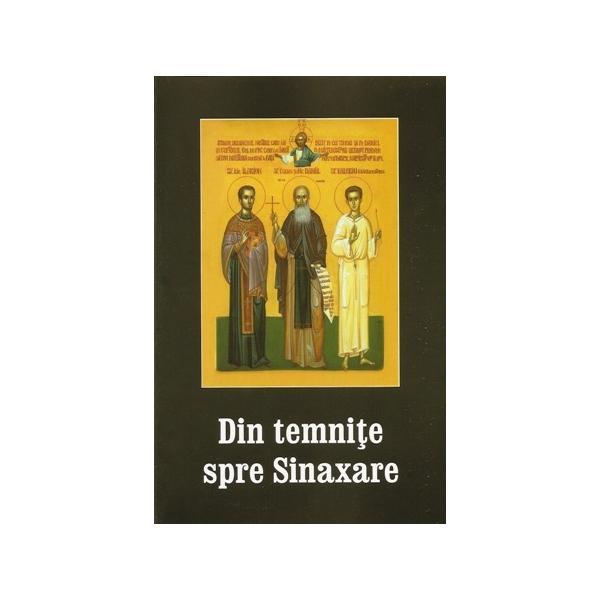 Din temnite spre sinaxare - Danion Vasile (coordonator), editura Areopag