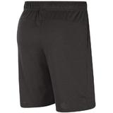 pantaloni-scurti-barbati-nike-dri-fit-cj2044-032-m-gri-2.jpg