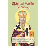 Sfantul Vasile de Ostrog. Minuni contemporane (dupa anul 1968), editura Egumenita