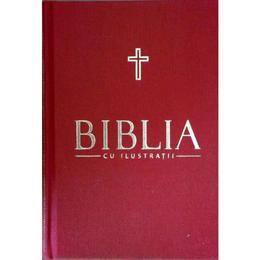 Biblia cu ilustratii Vol. 8, editura Litera