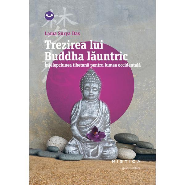 Trezirea lui Buddha launtric - Lama Surya Das, editura Nemira