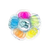 jucarie-senzoriala-spinner-dimple-new-york-5-bule-shop-like-a-pro-multicolora-9cm-2.jpg
