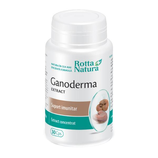 SHORT LIFE - Ganoderma Extract Rotta Natura, 30 capsule