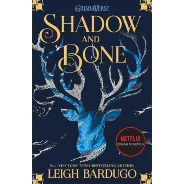 Shadow and Bone - Leigh Bardugo