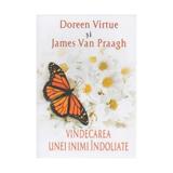 Vindecarea Unei Inimi Indoliate - Doreen Virtue, James Van Praagh, editura Adevar Divin