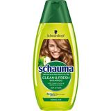 Sampon cu Mar Verde si Urzica pentru Par Normal - Schwarzkopf Schauma Clean & Fresh Shampoo with Green Apple & Nettle Extract for Normal Hair, 400 ml