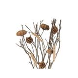 buchet-flori-uscate-decorative-artificiale-in-vaza-tip-sticla-maro-40-cm-5.jpg