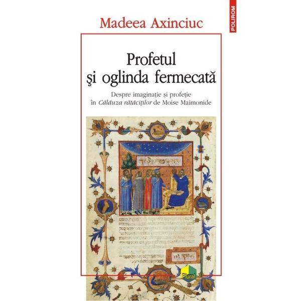 Profetul si oglinda fermecata - Madeea Axinciuc, editura Polirom