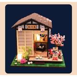 joc-interactiv-educational-macheta-casa-de-asamblat-miniatura-asia-diy-4.jpg