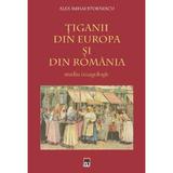 Tiganii Din Europa Si Din Romania - Alex Mihai Stoenescu, editura Rao