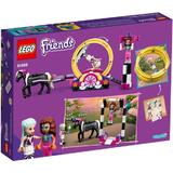 lego-friends-acrobatii-magice-41686-5.jpg