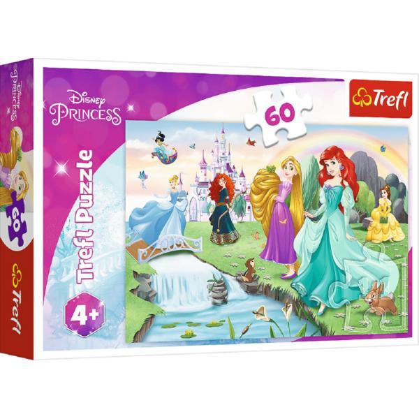 Puzzle 60. Disney Princess: Intalneste printesa