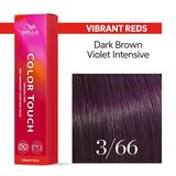 vopsea-demi-permanenta-wella-professionals-color-touch-nuanta-3-66-1729674102294-1.jpg