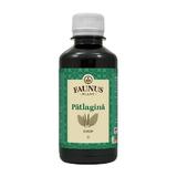 SHORT LIFE - Sirop Patlagina Faunus Plant, 200 ml