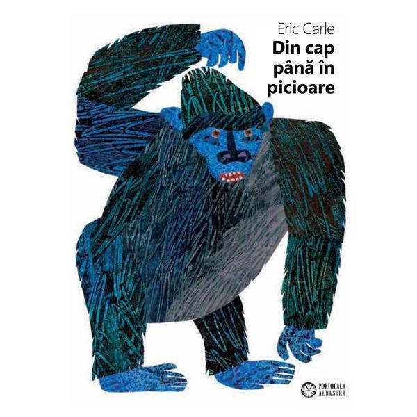 Din cap pana in picioare - Eric Carle, editura Portocala Albastra