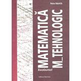 Matematica M-Tehnologic ghid pentru Bac - Petre Nachila, editura Nomina