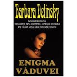 Enigma vaduvei - Barbara Delinsky, editura Orizonturi