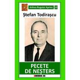 Pecete de nesters - Stefan Todirascu, editura Eikon