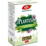 Ceai Plantusin R1 Fares, 50 g