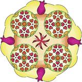 set-de-creatie-mandala-flori-si-fluturi-4.jpg