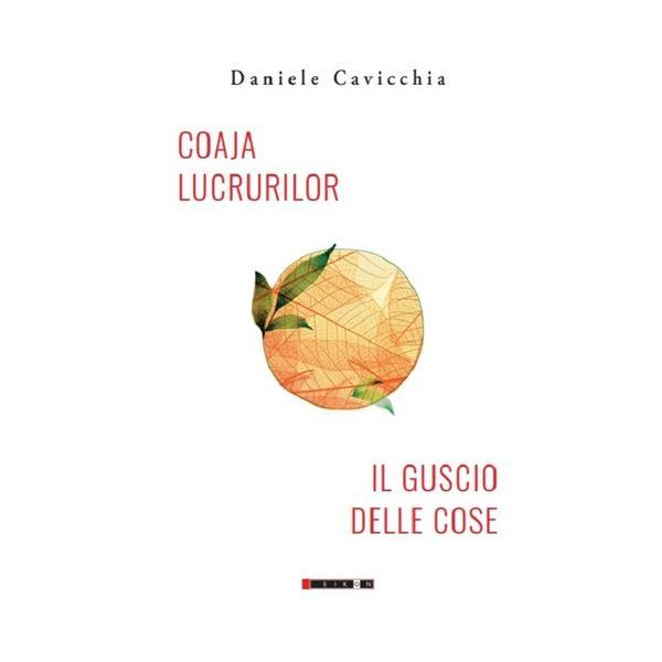 Coaja lucrurilor - Daniele Cavicchia, editura Eikon