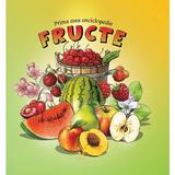 Prima Mea Enciclopedie - Fructe