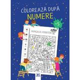 Coloreaza dupa numere, editura Didactica Publishing House