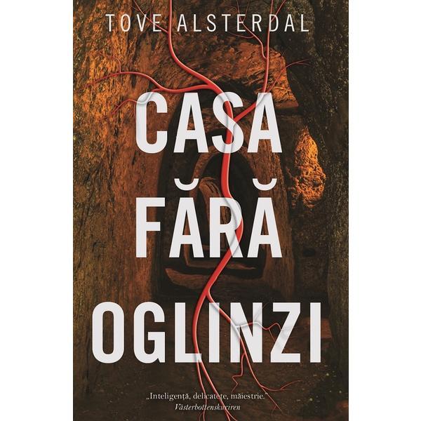 Casa fara oglinzi - Tove Alsterdal, editura Rao