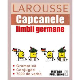 Capcanele Limbii Germane (larousse)