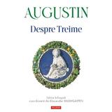 Despre Treime - Augustin, editura Polirom