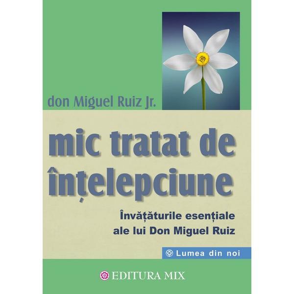 Mic tratat de intelepciune - Don Miguel Ruiz Jr., editura Mix