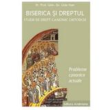 Biserica si dreptul. Vol. 5: Probleme canonice actuale - Liviu Stan, editura Andreiana